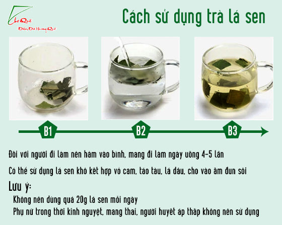 Cách làm trà lá sen giảm cân hiệu quả